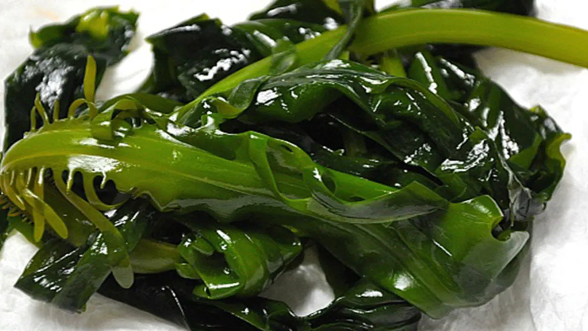 미역에 관련된 꿈해몽