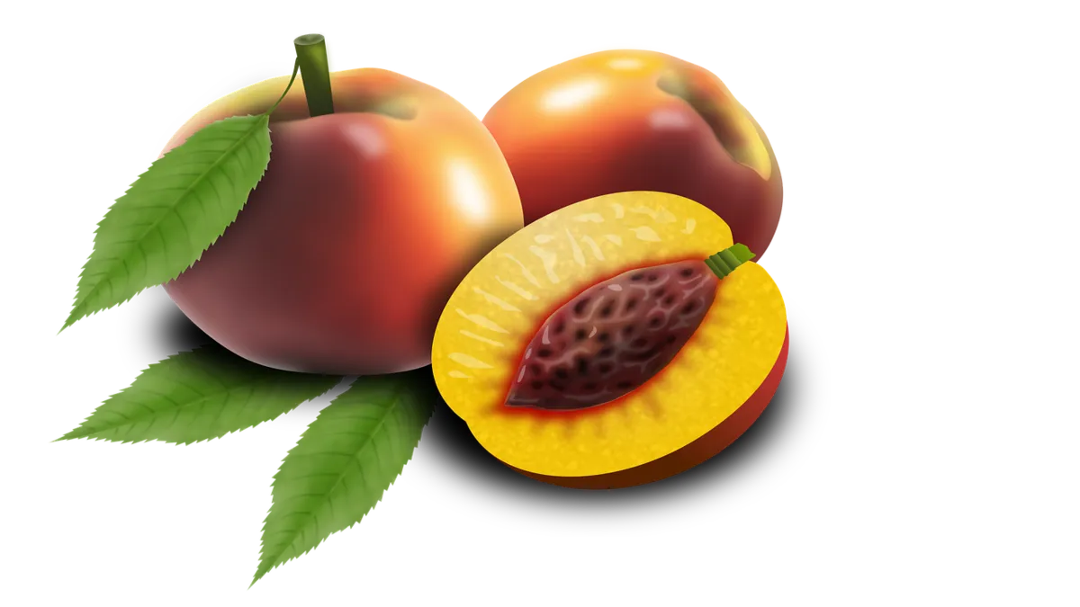 복숭아에 관련된 꿈해몽