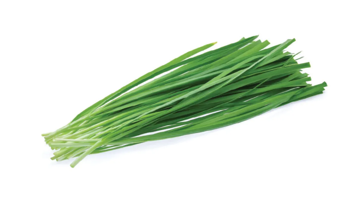 부추에 관련된 꿈해몽