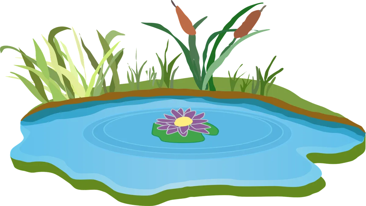 연못에 관련된 꿈해몽